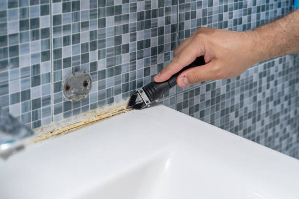 Best Health and Safety Mold Remediation in Hamlin, WV