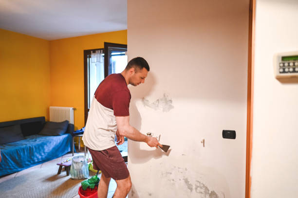 Best Residential Mold Remediation in Hamlin, WV
